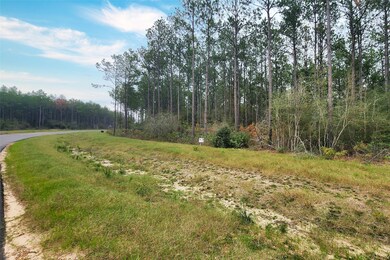 Hike & bike amongst the wilderness on the gentle r