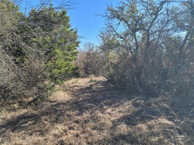 TBD Lot 6 Dill Rd, Weatherford, TX 76085 - photo 4