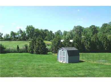 Yard/Garden rear yard / shed