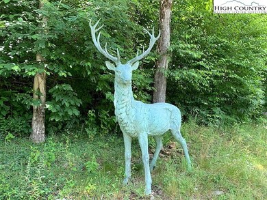 Lot 2 Caseys Gap Rd, Banner Elk, NC 28604 - photo 3