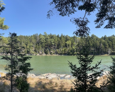 View of Cove from lot