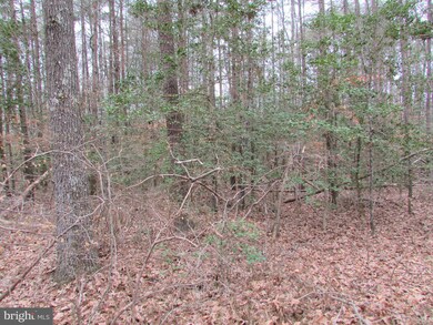 Lot 10 Settlers Ln, Washington, VA 22520 - photo 2