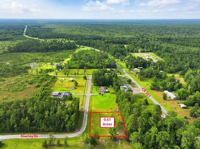 TBD Stanley Dr, Wewahitchka, FL 32465 - photo 4