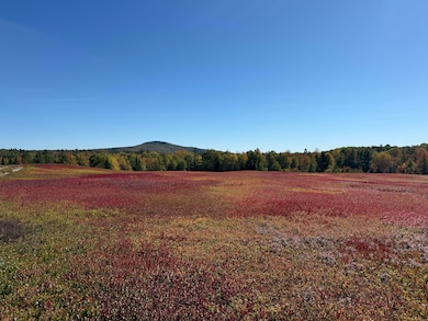 MAP31LOT29 Land-Perkins, Blue Hill, ME 04614 - photo 5