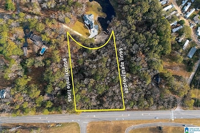 101 Caldwell Mill Rd, Birmingham, AL 35244 - photo 3