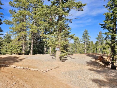 Resized_20250522_172432