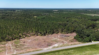 Aerial view of property and surrounding area with a heavily wooded area