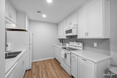 450 W Downer Place unit 4C, Aurora, IL 60506 - photo 3