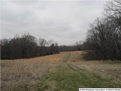 200 Ranch Rd, Hernando, MS 38632 - photo 6