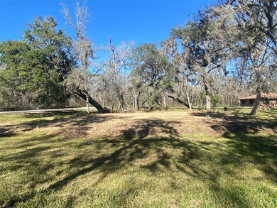 0 River Bend Dr unit 69791859, Brazoria, TX 77422 - photo 5