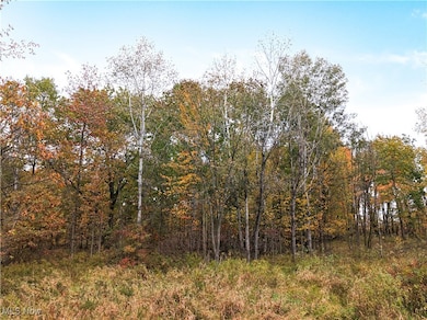 10 Bradley Brownlee Rd, Cortland, OH 44410 - photo 5