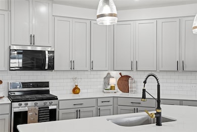 517 Lady Swiss Ln, Hutto, TX 78634 - photo 4