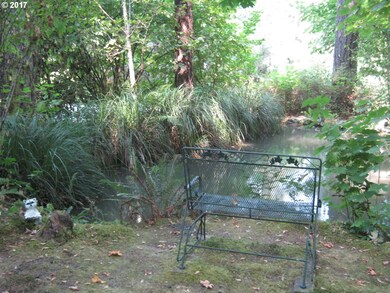 Pond