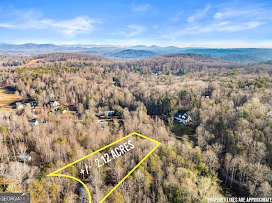 62 Dogwood Trail, Dahlonega, GA 30533 - photo 2