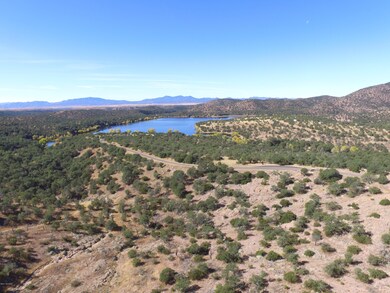 Drone-Lake and Mountain View