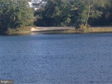 438 Shaws Mill Rd, Cedarville, NJ 08311 - photo 6