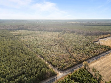 Walker Rd, Aurora, NC 27806 - photo 7