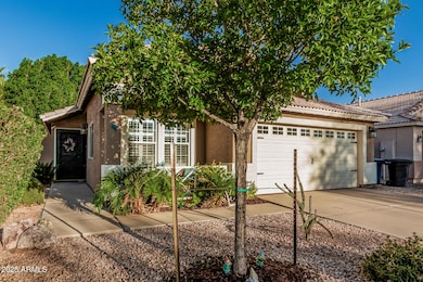 303 N Hudson Place, Chandler, AZ 85225 - photo 3