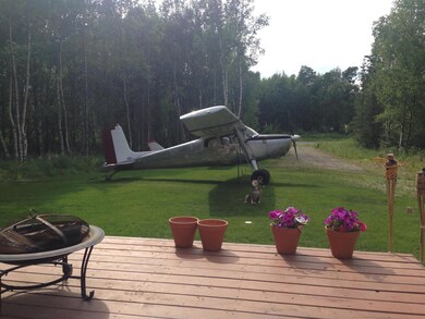 back yard 2