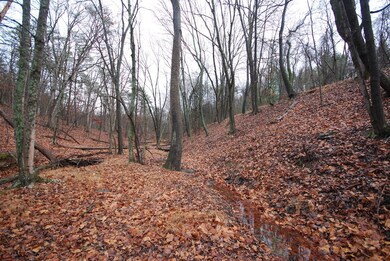 Lot 29 & 30 Staubwoods Dr, Romney, WV 26757 - photo 6