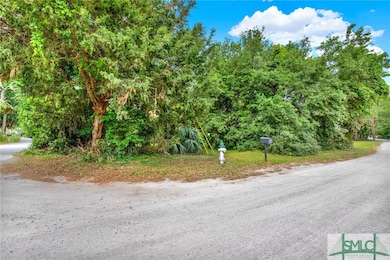 Lots of vegetation on the city right of way/ corne