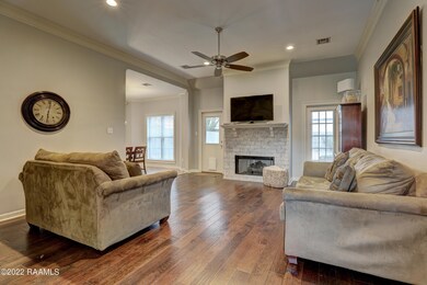 OliveVista-5