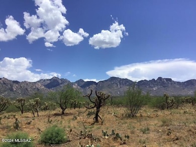 3681 E Rollins Rd, Catalina, AZ 85739 - photo 2