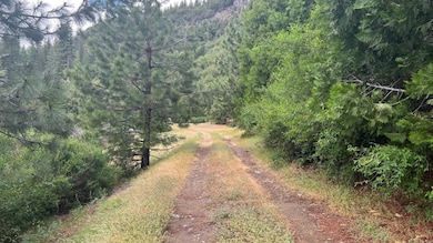 0 Both Sides of U S Hwy -50 unit 225146530, Pollock Pines, CA 95726 - photo 3