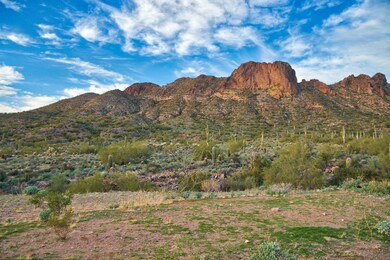 IMG_8441_10 (Custom)
