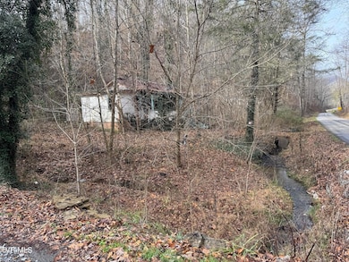 3713 Manville Rd, Gate City, VA 24251 - photo 3