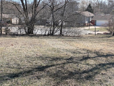 416 Horstmeier Trail, St. Peters, MO 63376 - photo 6