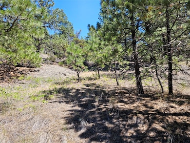 NHN Upper Sawmill Creek Rd, Cascade, MT 59421 - photo 5