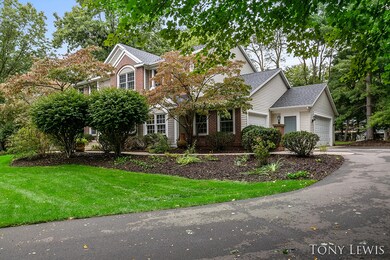 Wooded lot
