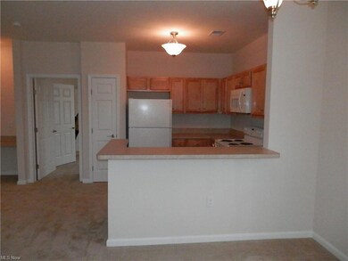 1504 Aqua Marine Blvd, Avon Lake, OH 44012 - photo 7