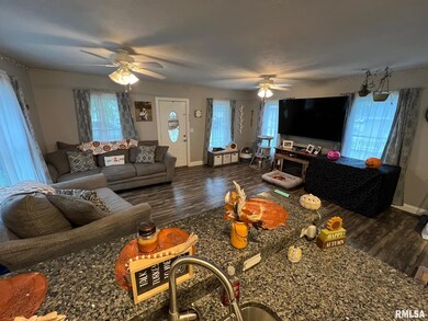 311 N Sherman St, Lincoln, IL 62656 - photo 5