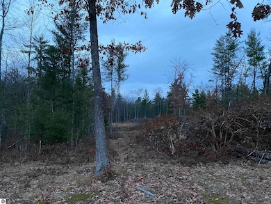 00 S Emma Ave, Pleasant Plains Township, MI 49304 - photo 6