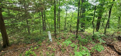 Lots 2 & 3 Foshee Ln, Bella Vista, AR 72715 - photo 5