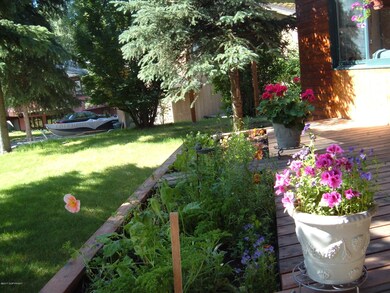 Owner Photo-Flowers in Bloom