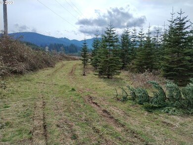 0 Gooseneck Rd unit 210 23464971, Sheridan, OR 97378 - photo 3