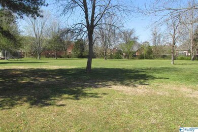 215' OF ROAD FRONTAGE