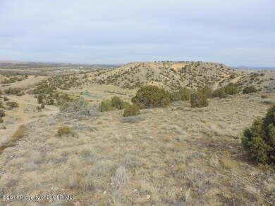NYA New Mexico 516, Farmington, NM 87401 - photo 2