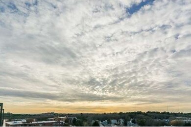 Imperial Towers unit 13, Chestnut Hill, MA 02467 - photo 6