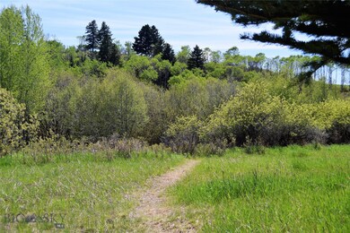 Path leading to the creek