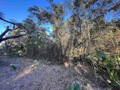 TBD Otter Lake Rd, Panacea, FL 32346 - photo 6