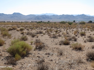 7369 N Skull, Kingman, AZ 86401 - photo 2