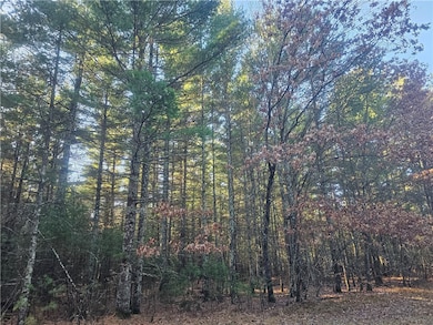 XXX E Harmon Ave, Grantsburg, WI 54840 - photo 5