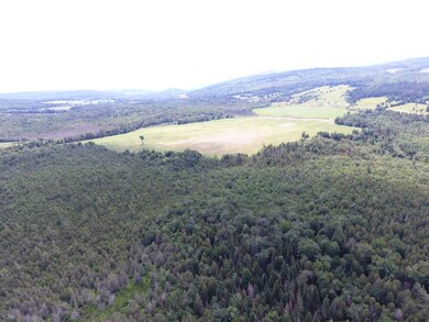 - Hudson Rd, West Charleston, VT 05872 - photo 3