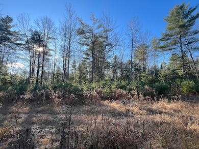 Lot # 7 Cranberry Way, Bowdoinham, ME 04008 - photo 2