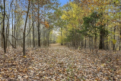 0 Vaughn Ln, Indian Mound, TN 37079 - photo 7