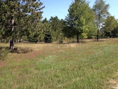 1467 S Lakola Rd, Reed City, MI 49677 - photo 7